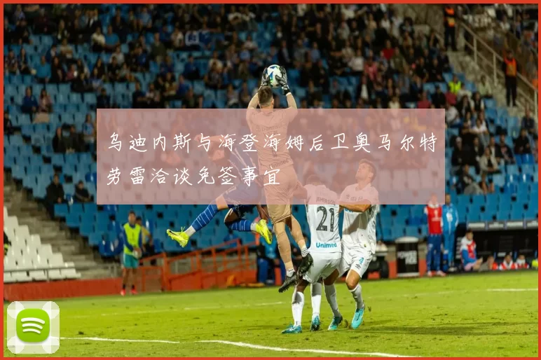 乌迪内斯与海登海姆后卫奥马尔特劳雷洽谈免签事宜